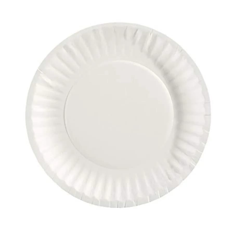 Dixie 6in Light-Weight Paper Plates by GP PRO,White, 702622WNP6, 1, 000 Count (500 Plates Per Pack, 2 Packs Per Case)