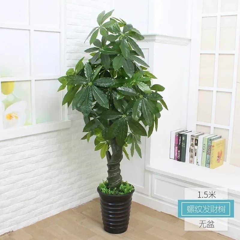 A Simulated fortune tree potted plant living room flower large green plant ornament fake flower decoration indoor floor