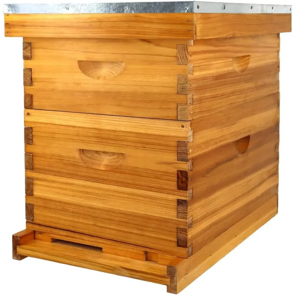 Complete kit for alveare to 8 frames with waxed foundation and frames covered in bee wax for beekeeping (1 deep castor and 1 super medium)