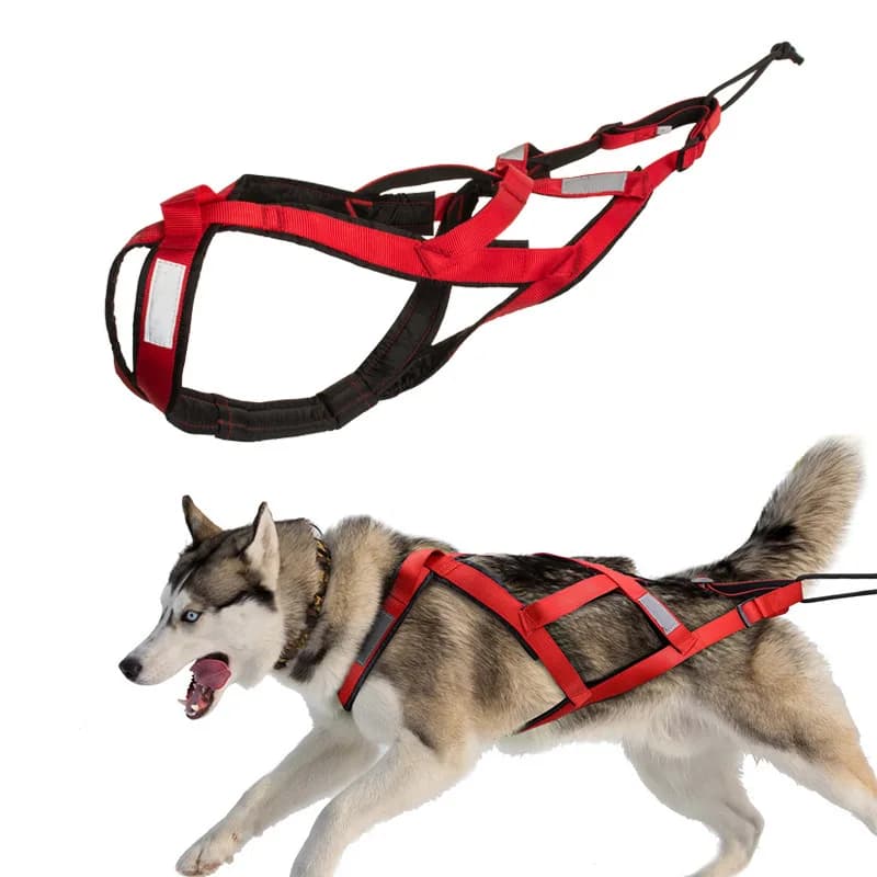 Guinzaglio per addestramento al peso per cani con imbracatura per slitta per cani Guinzaglio per scooter Husky Satsuma