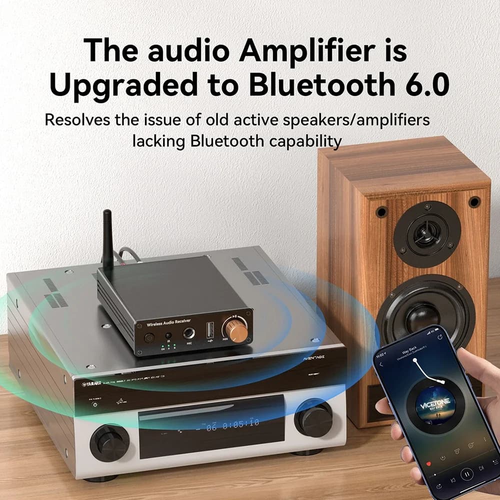 Ricevitore audio 6.0 compatibile con Bluetooth 3,5 mm AUX RCA USB 6,5 mm Microfono Adattatore wireless per musica con telecomando per TV PC