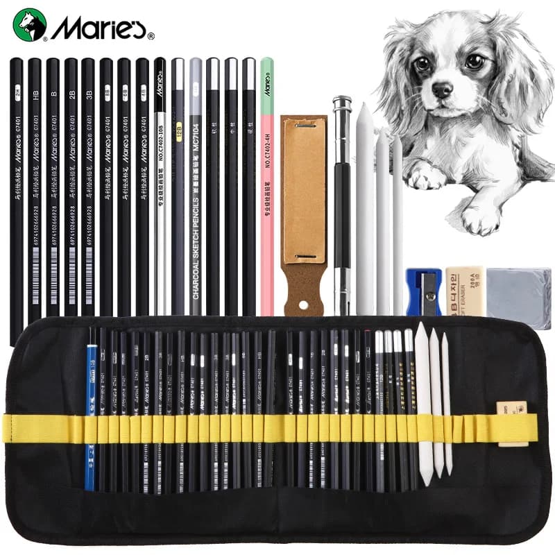 Marie's 24pcs Drawing Kit Sketching Pencils Set,Charcoal Pencils, Sketch Pencils,Charcoal Stick,Sharpener,Eraser