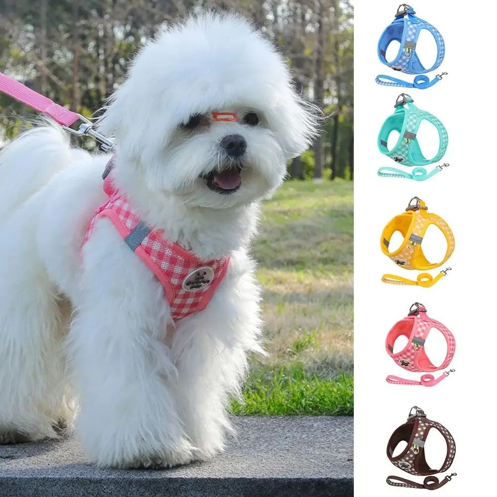 Imbracatura per Cani Comoda ed Elegante in Poliestere con Fibbia Metallica, Pettorina Regolabile Anti-fuga per Cani e Gatti