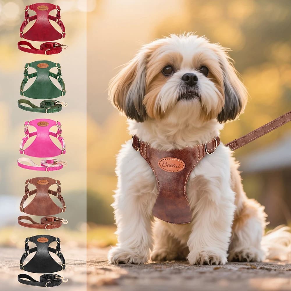 Cute Step-In PU Leather Dog Harness & Leash Set Adjustable Pet Puppy Walking Vest Lead for Small Medium Dogs