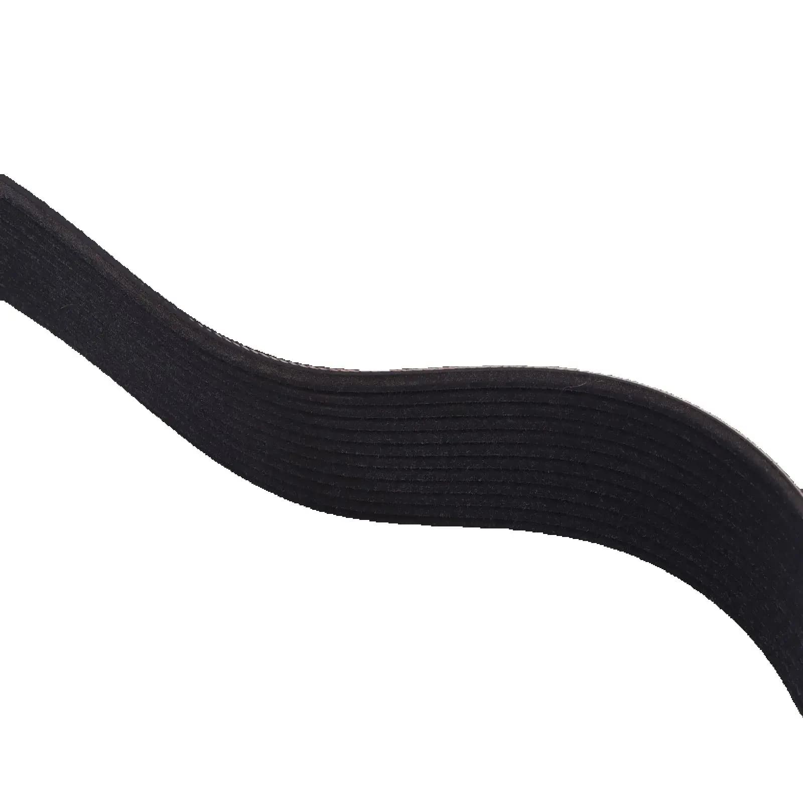 Cinghia di trasmissione Cinghia serpentina 12PK2315 3103835 PER motori ISX15 QSX15