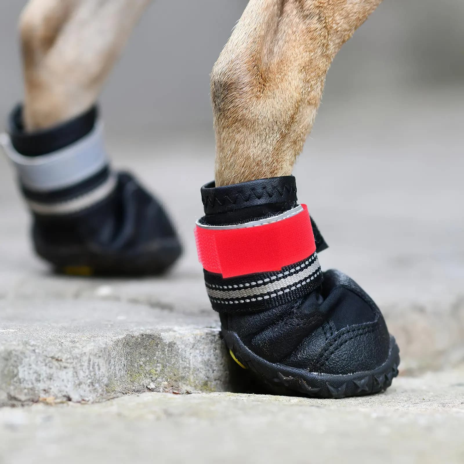10 Pezzi Copriscarpe per Cani Antiscivolo Regolabili, Fasce Impermeabili per Stivali da Pioggia, Stivali da Neve e Uso Esterno