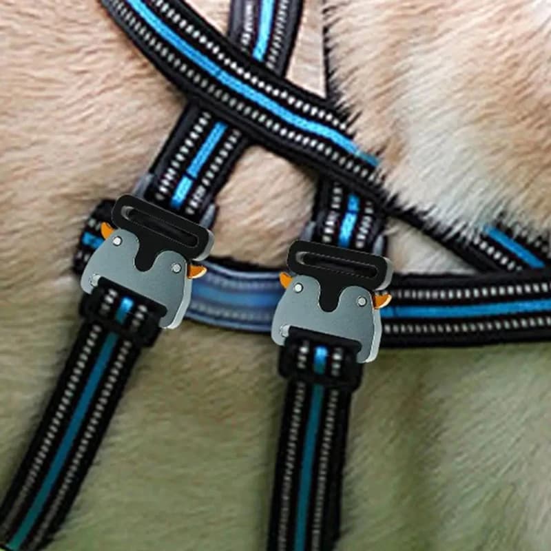 Fibbie in metallo Clip Fibbia per bagagli Rilascio della cinghia Clip in metallo regolabili Robusta collare per cani Fibbia Fibbie in metallo per cinturino