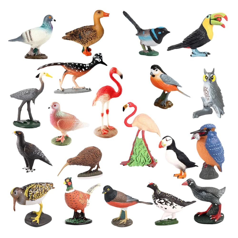 Animali della foresta Flamingo Turchia Seahawk Tucan Kiwi Figurine di uccelli Figurine di animali della giungla Action Figure Toy Giocattoli di plastica Regali per bambini