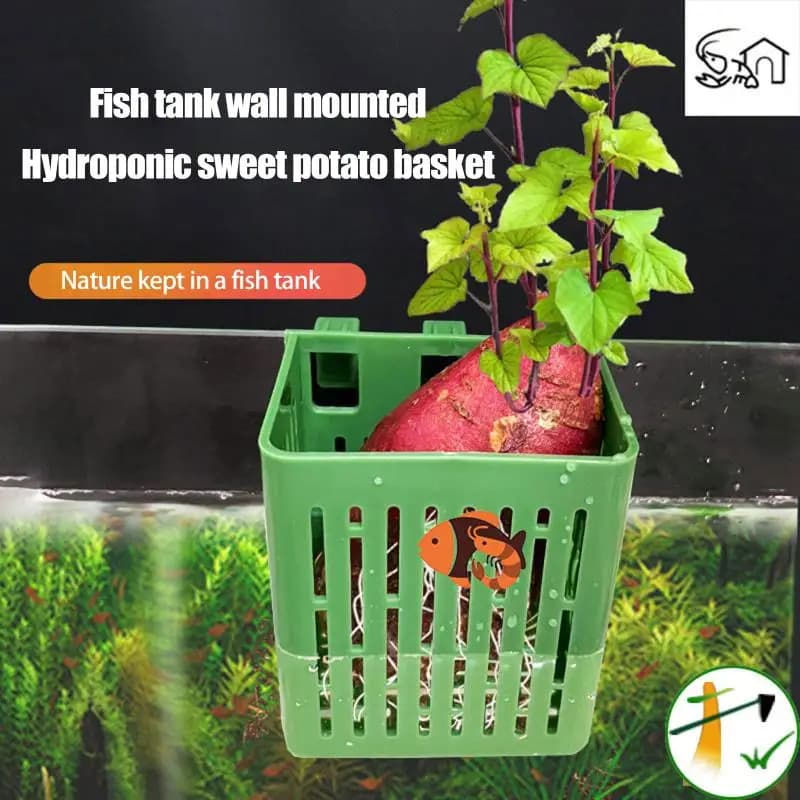 Z. 1 Pezzo Gancio a Ventosa Sospeso per Piante Acquatiche, Portapiante in Plastica per Acquario, Cestini per Piante, Vaso Acquatico, Scatola per Piante, Decorazione per Acquascaping