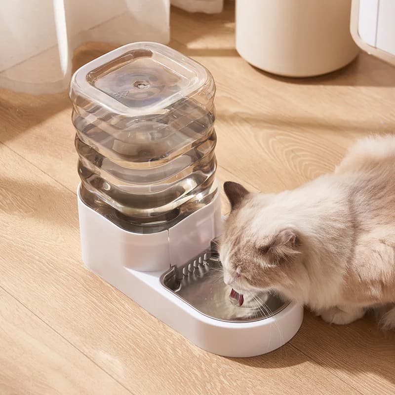 Nuovo Distributore Automatico d'Acqua per Animali Domestici, Ciotola per Acqua e Cibo per Cani e Gatti
