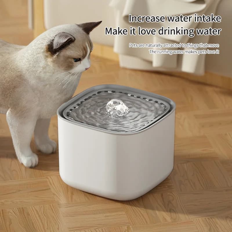 3L Fontana per gatti Filtro di ricircolo automatico Grande capacità Filtring Abbeveratoio per gatti USB Elettrico Muto Gatti Distributore di acqua