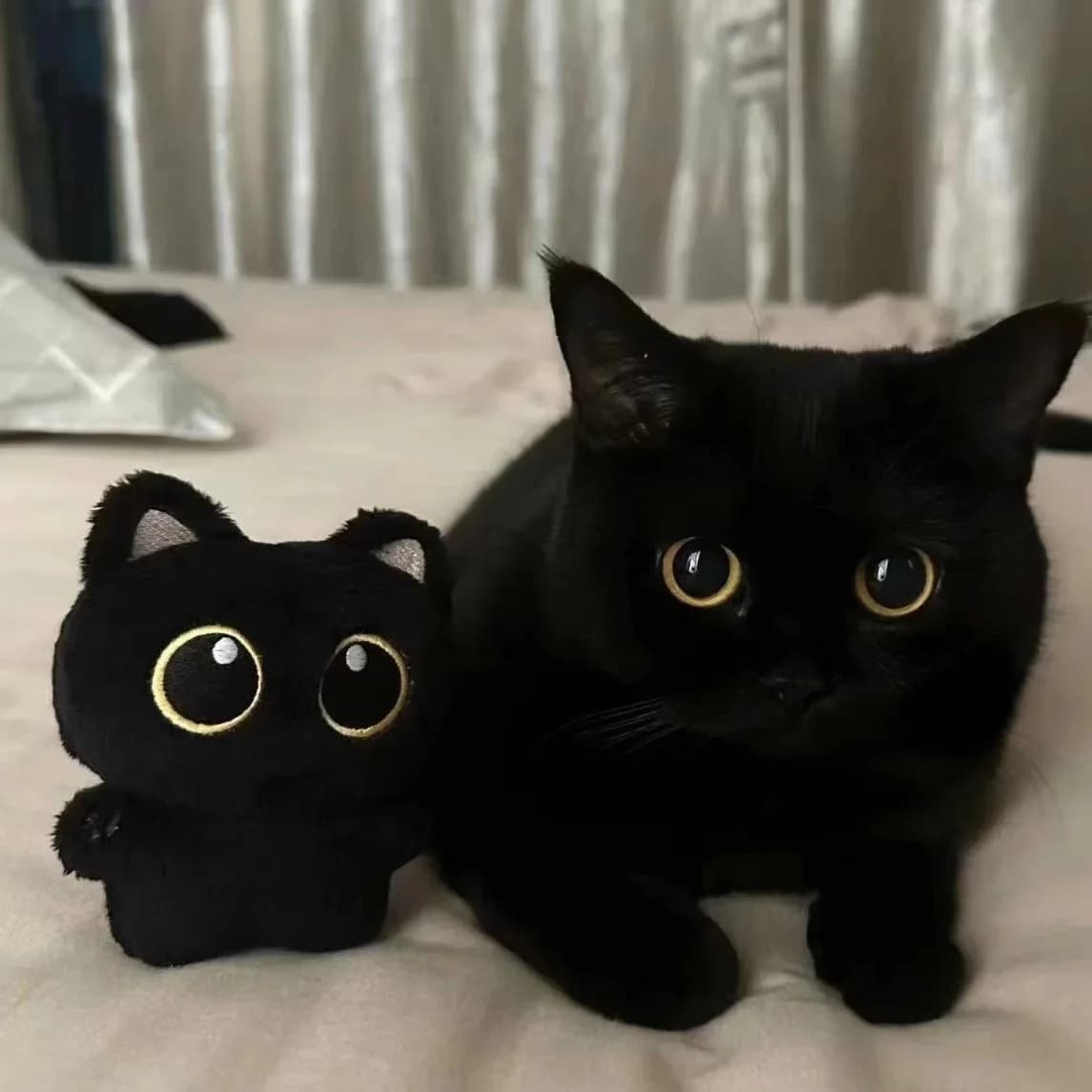 10 cm cute cat black plush doll small pendant coconut pillow ins cat black plush doll for boy girl birthday gifts