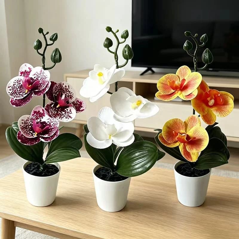Mini butterfly orchid potted plant with 3 flowers, black lid pot, green plant props, bedroom living room home decoration