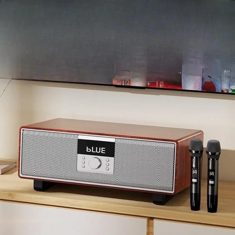 Set audio per karaoke familiare, sistema completo con macchina all-in-one per ordinare i brani, karaoke per casa e TV