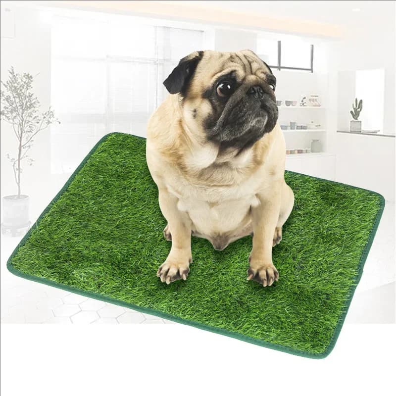Tappeto riutilizzabile per toilette per cani: tappeto in erba artificiale per cani, toilette per cani, tappetino per addestramento, toilette per cani per balcone, patio, garage