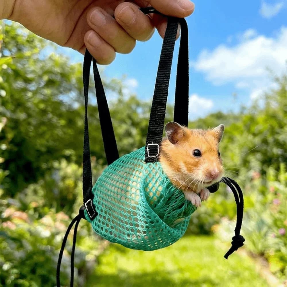 Borsa Trasportino Traspirante per Pappagalli Anti-Fuga con Cinghia Regolabile, Gilet Anti-Fuga per Pappagalli, Ideale per Visite al Veterinario