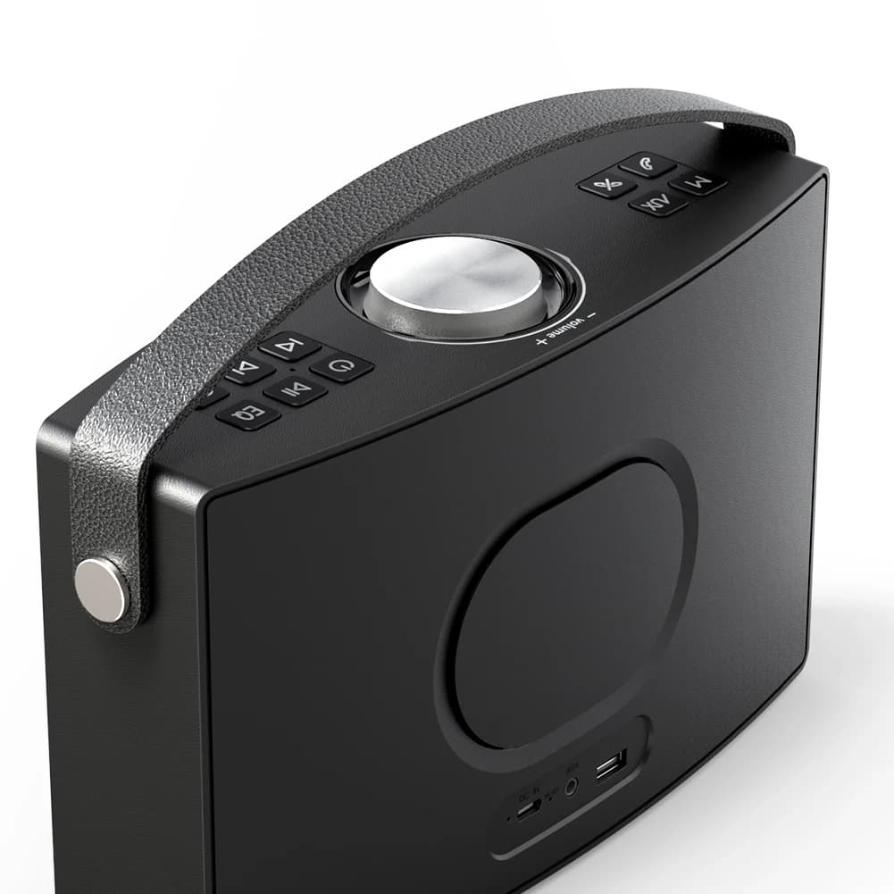 Macchina per Karaoke per Bambini e Adulti con 2 Microfoni Wireless Bluetooth, Sistema di Altoparlanti Portatile PA con Scheda TF/USB, AUX/MIC