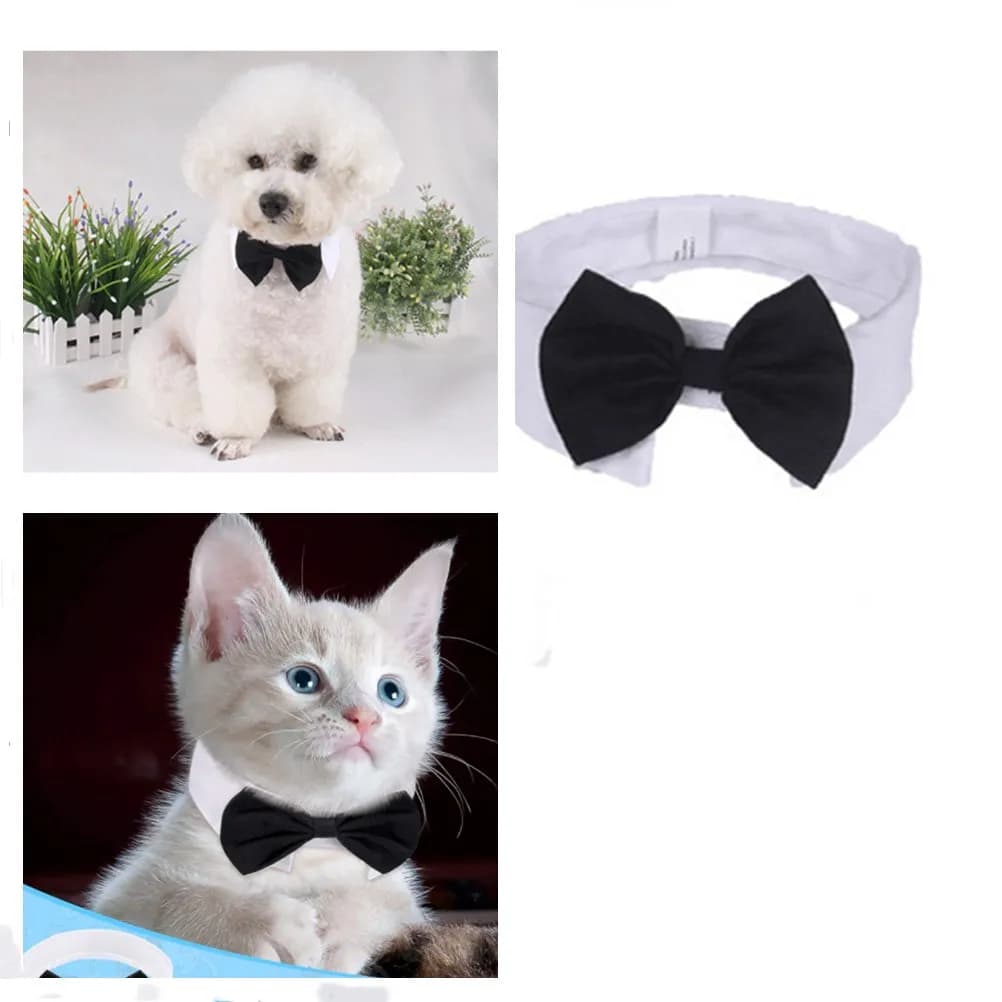 Accessori per la toelettatura matrimoni cucciolo cravatta fiocchi Pet smoking formale gatto smoking collare cane papillon