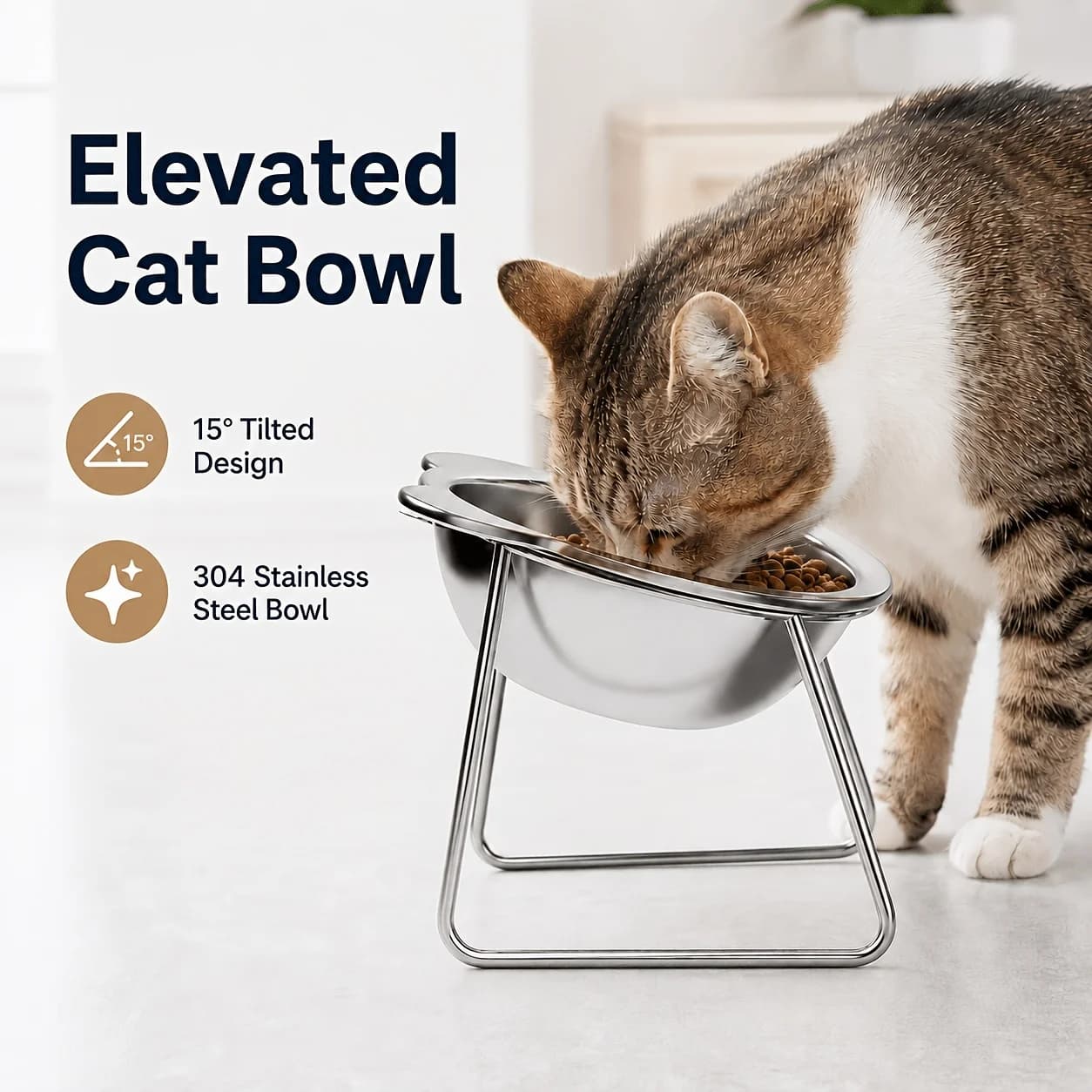 304 stainless steel elevated cat bowl stand, tilted and raised pet food bowl with support, neck-friendly anti-vomiting feeder