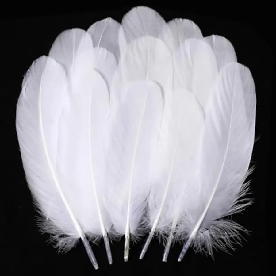Holmgren White Craft Goose Feathers - 200pcs 5-7inch White Feathers for DIY Crafts Dream Catchers, Angel Wings and Wedding Part