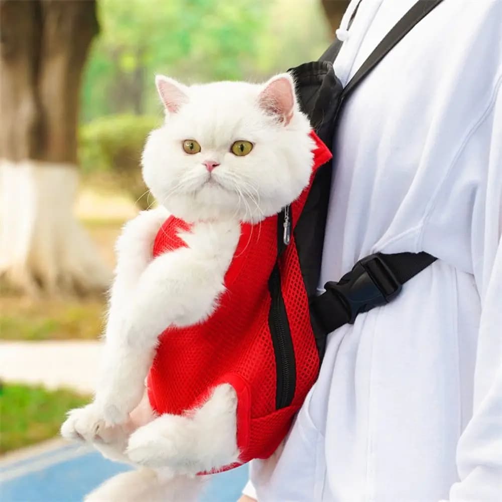 Zaino Trasportino per Animali Domestici con Design a Rete, Cinghie Regolabili, Leggero, Resistente, Comodo e Traspirante per Esterni