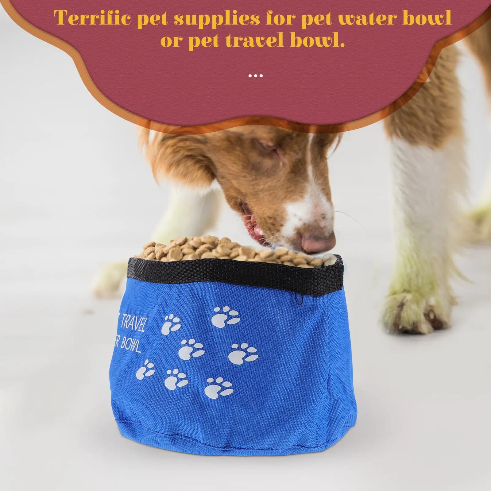2 Ciotole Pieghevoli per Animali Domestici in Tessuto Oxford di Grado Alimentare, Impermeabili, Espandibili per Escursionismo, Campeggio, Viaggi e Addestramento