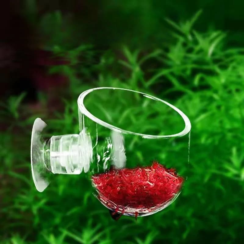 Tazza per piante acquatiche in acrilico con supporto a ventosa Tazza per bombola per piantare Accessori per acquari Decorazione per acquario Vaso per piante