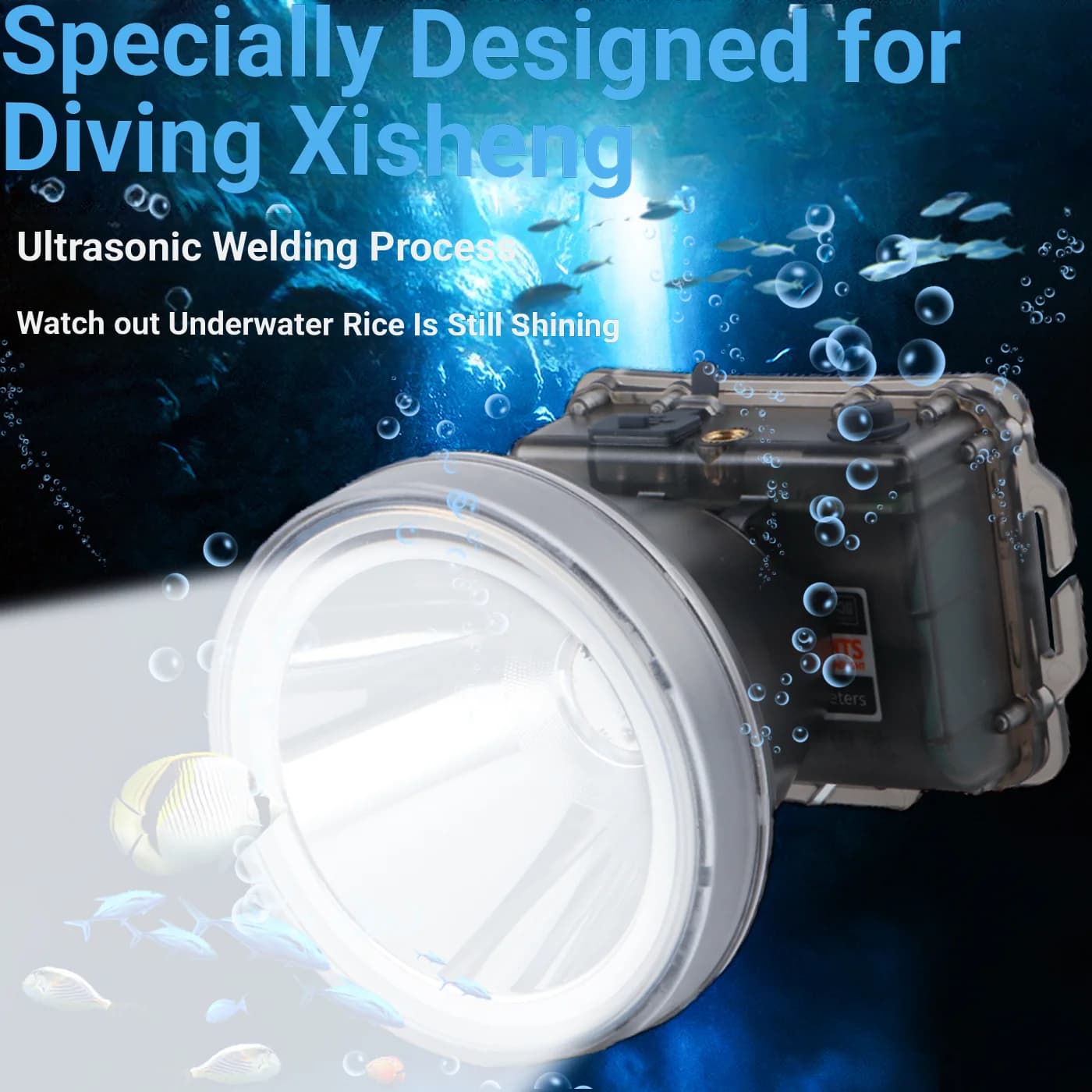 10000mAh, Powerful Light 1500LM, Professional for Diving up to 30M, IPX8, for Underwater Fishing