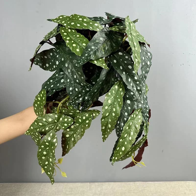 Artificial 29 Fork Hole Tail Sheets Plastic Plants Floral Mall Decoration Simulation Begonia Sheet Green Plant