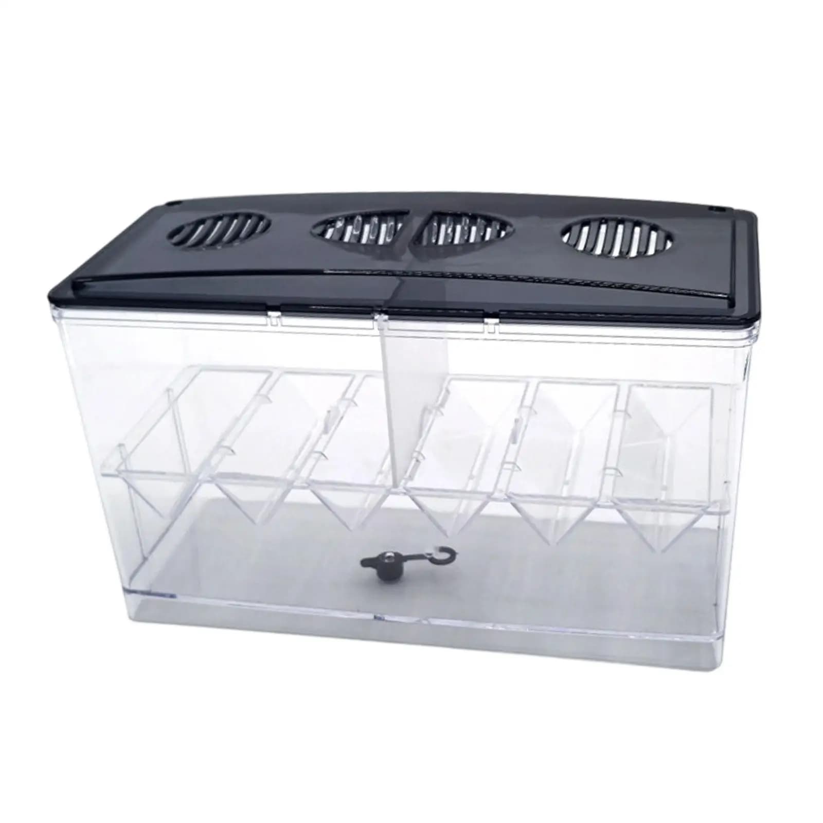 Floating Fish Breeding Isolation Box Detachable Transparent Easy to Clean Aquarium Breeder Box for Clownfish Guppies