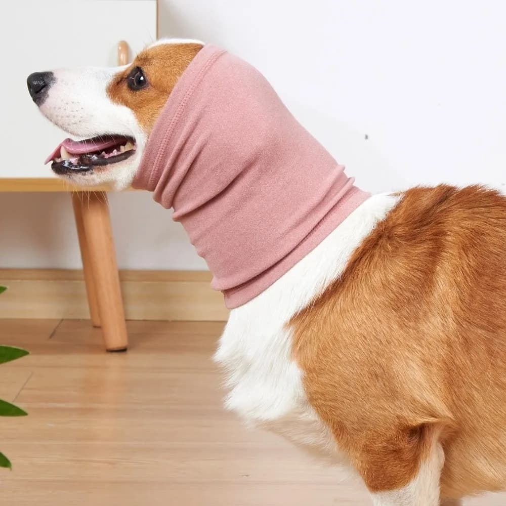 Forniture per animali domestici Paraorecchie calmanti per cani elastici Paraorecchie caldo e morbido per toelettatura di cani Paraorecchie per animali domestici traspirante a prova di rumore Viaggi all'aperto