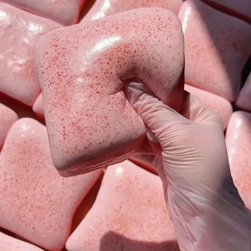Giocattolo agitatore antistress monopezzo: design di pane tostato per torta a lenta crescita, ottimo per adulti e bambini con autismo ADHD come regalo.