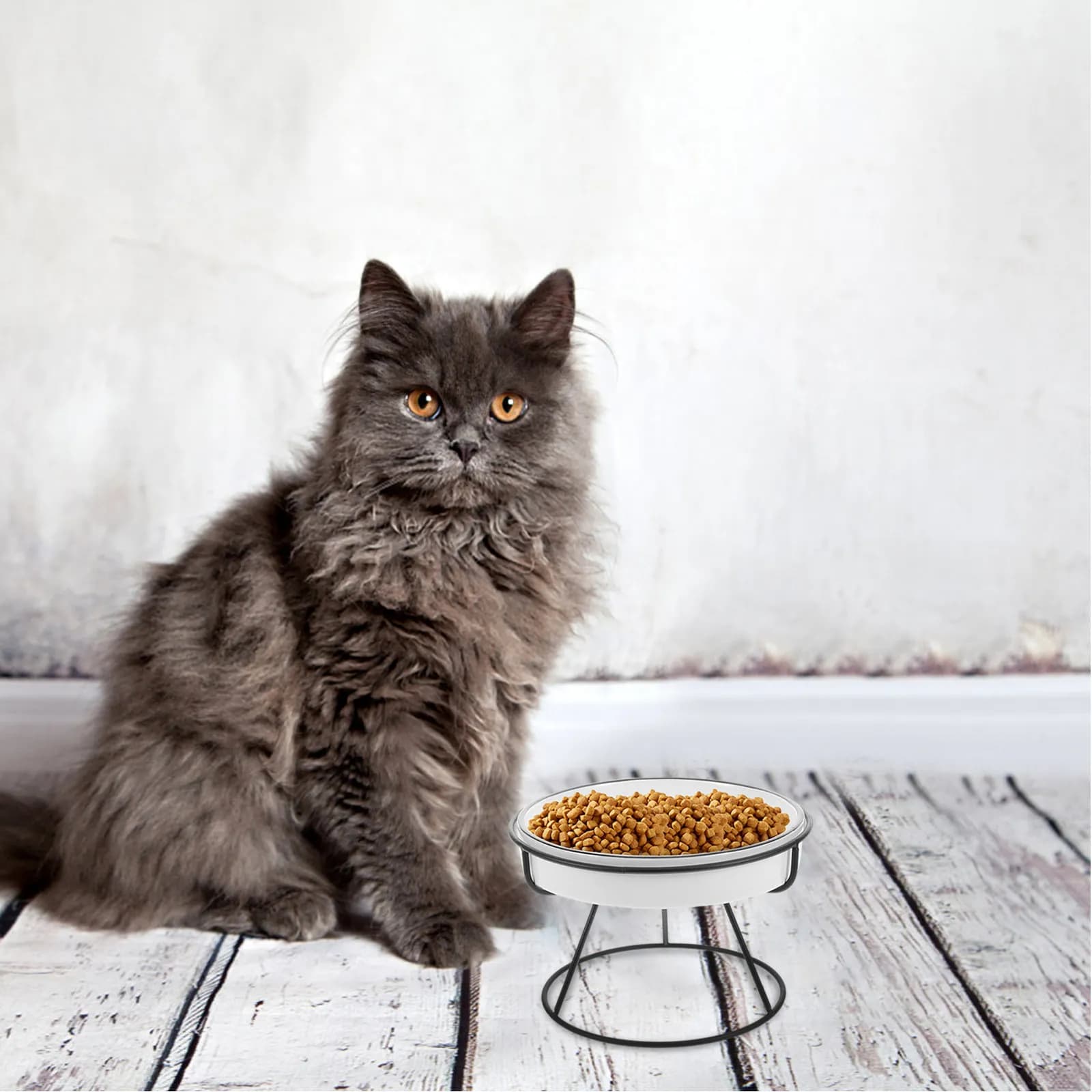 Slow Feed Ceramic Cat Bowl Elevated for Cats Small Dogs Raised Pet Food Water Dish Iron Stand Comfortable Neck Spine Support