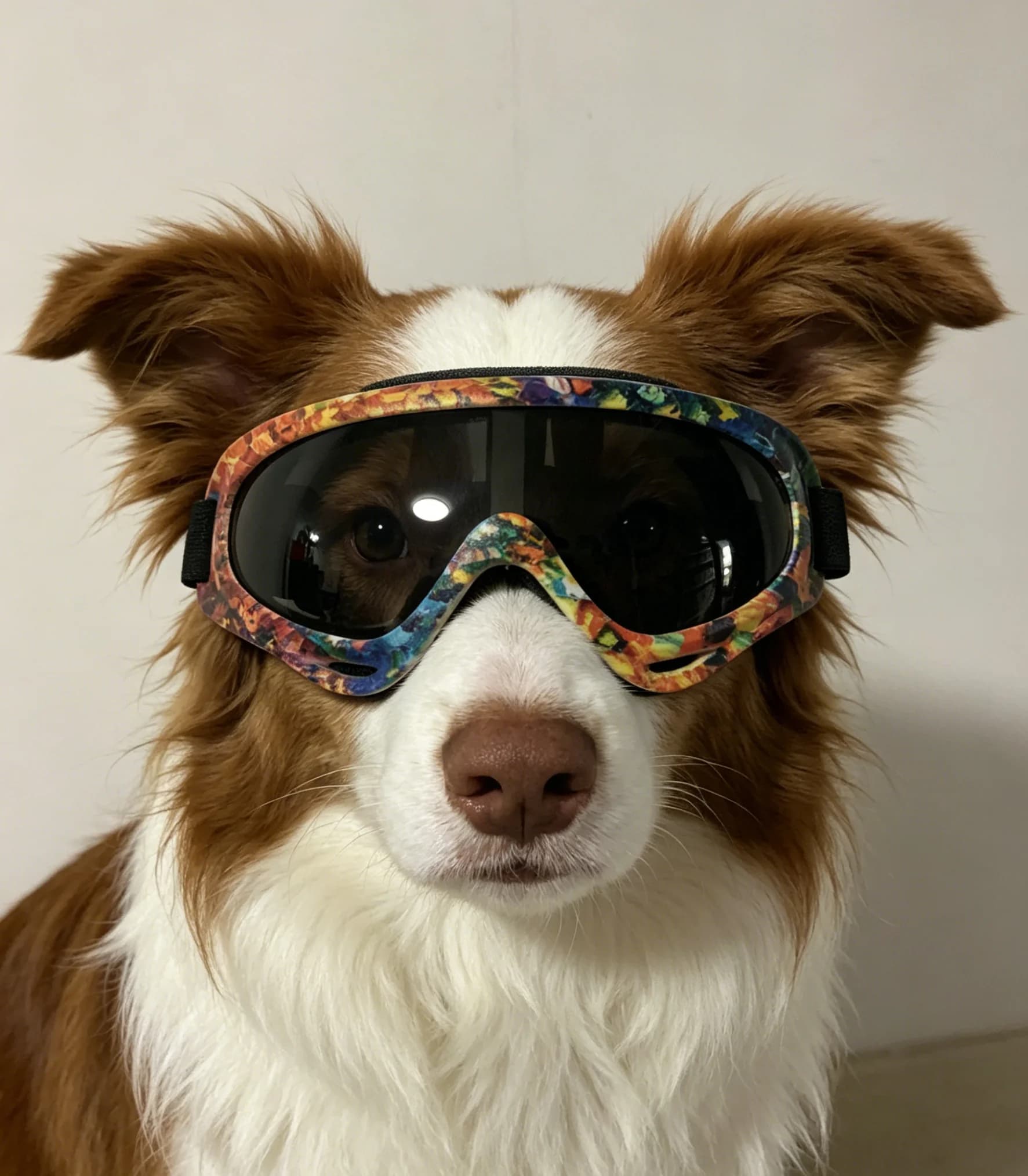 Hand-Painted Style Dog Glasses for Medium Large Puppy 30-80 lbs, Fashion Retro Pet Sunglasses with Anti-UV Coating, Trendy Eye W
