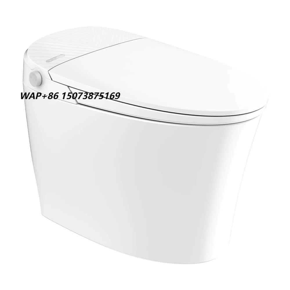 111111 High-end Square Bowl Smart Toilet Floor Mounted Installation Water Tank Automatic Flush Remote Control Advanced Functions