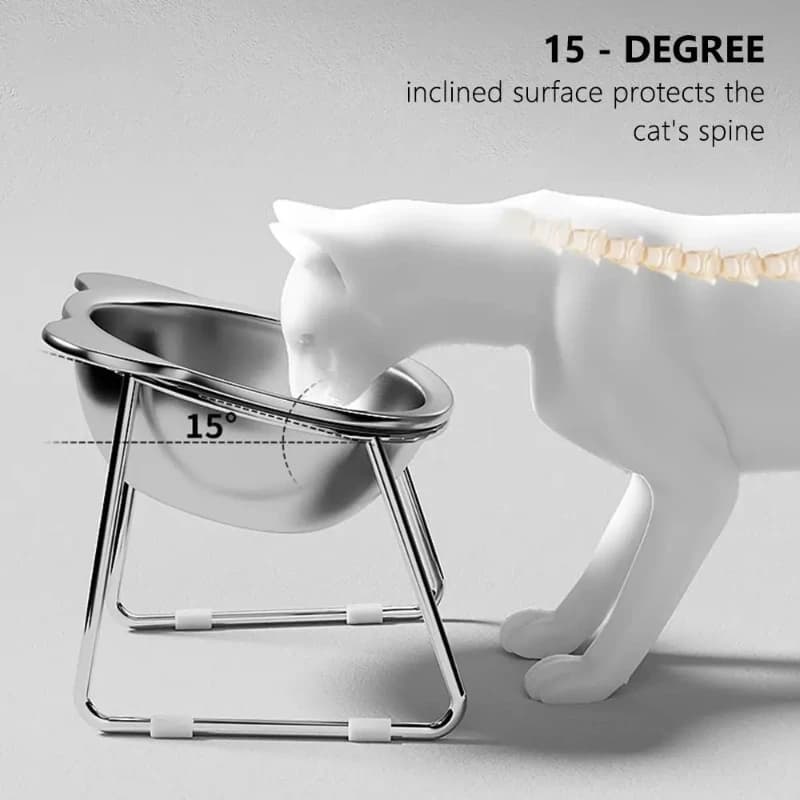 Stainless Steel 304 raised cat bowl with 15 ° High design tilted neck protection Healthy infrangible feeding for cat puppies