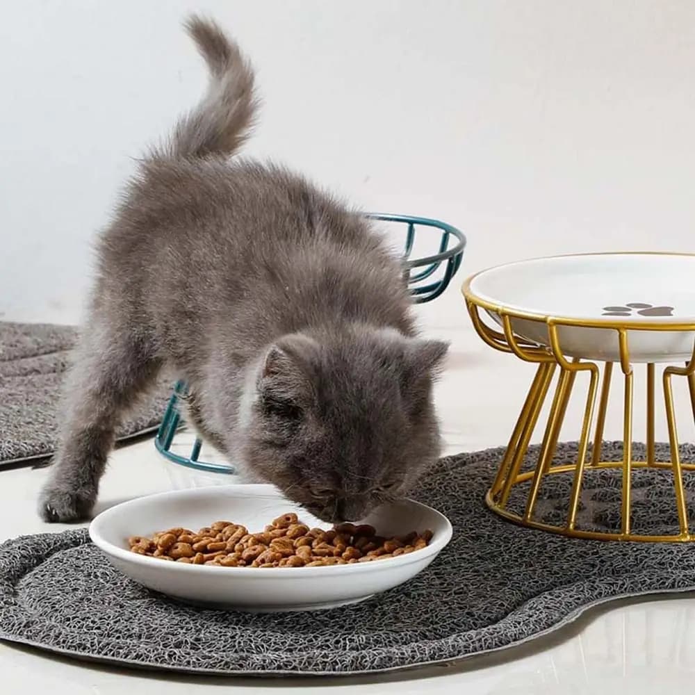 Ceramic Elevated Cat Feeder Drinker For Dog Cat Puppy Kitten Pet Supplies Pet Feeder Bowl Cat Food Bowl Water Feeder Container