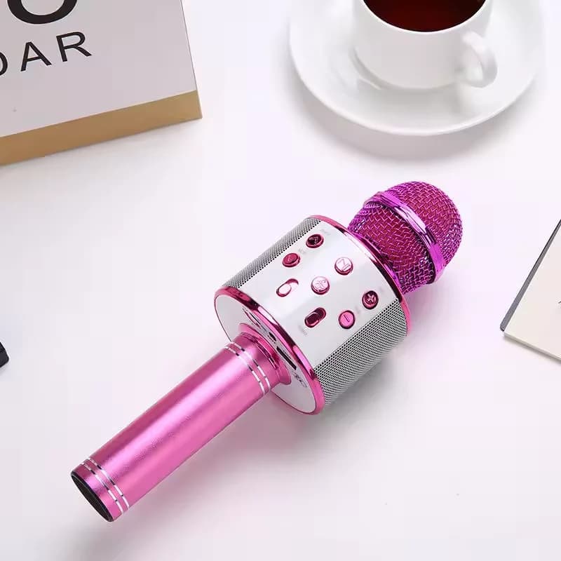 Microfono portatile per karaoke Bluetooth, altoparlante wireless per feste all'aperto, compatibile con tutti gli smartphone