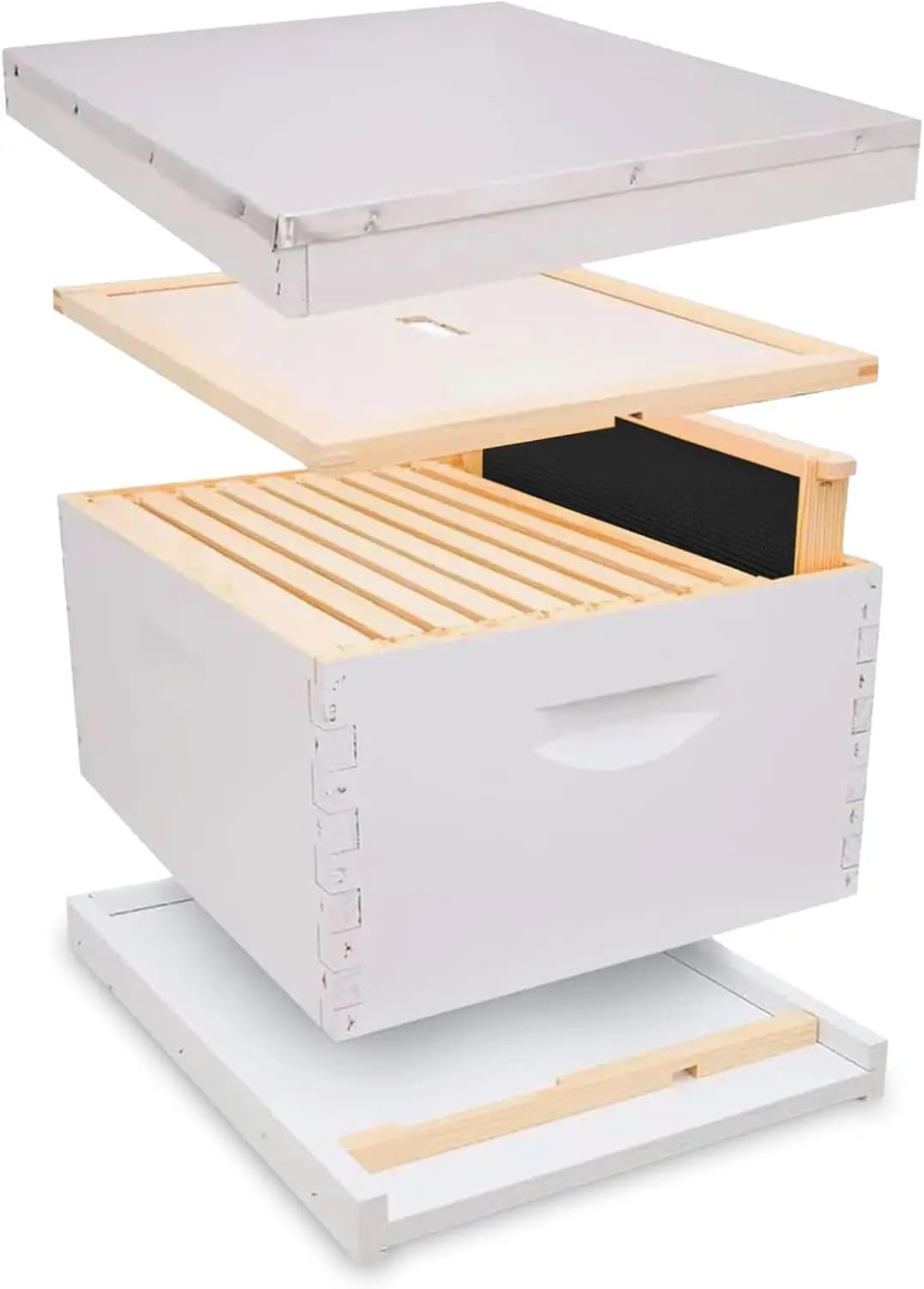 Kit Arnia a 10 Telaini, Completely Assembled, Body Arnia Profondo 95⁄8" with 10 Telaini, Fund in Cera d'Api, Telescopic Cover