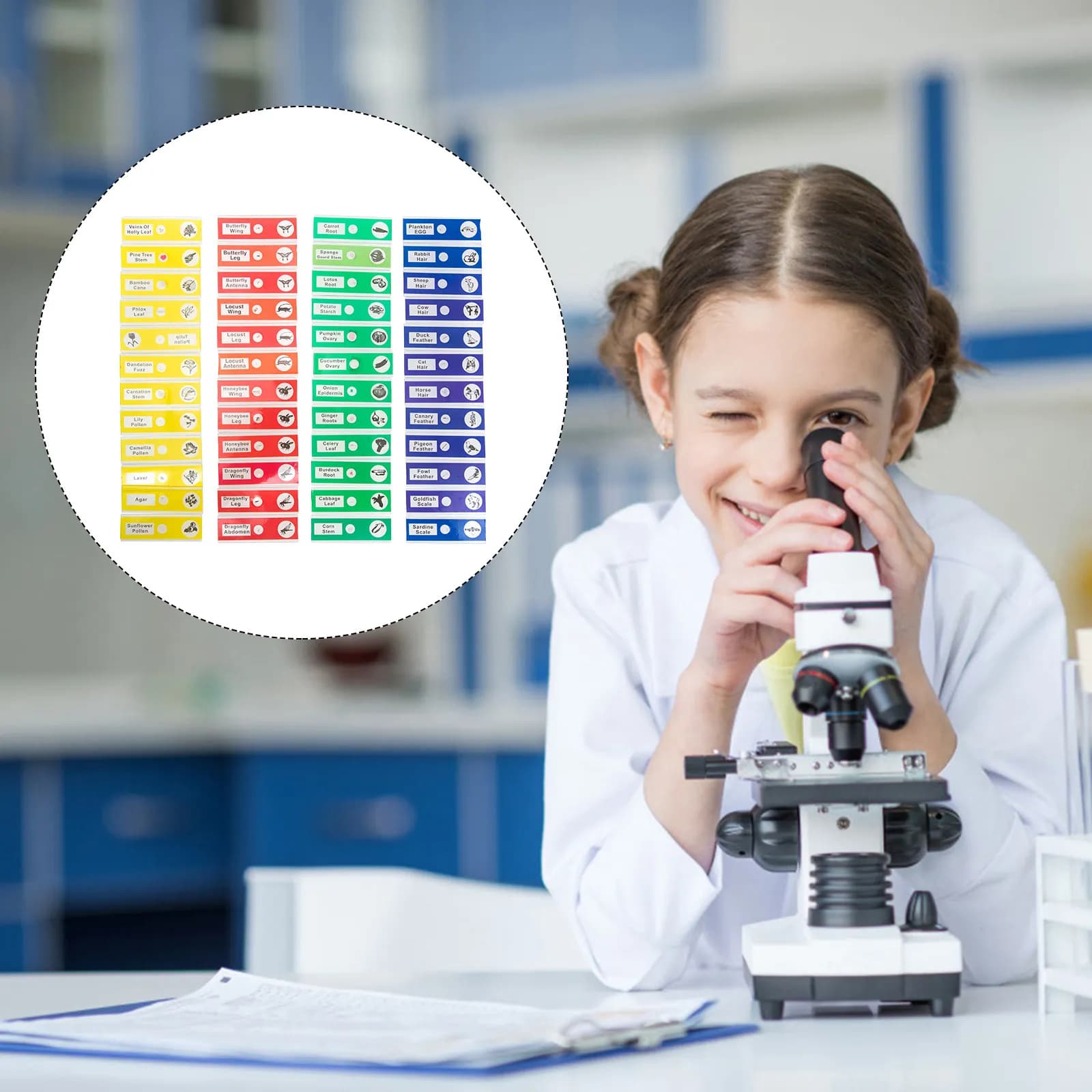48 Pezzi di Vetrini Preparati per Microscopio, Collezione di Campioni Biologici per Studenti, Esempi Didattici per Principianti