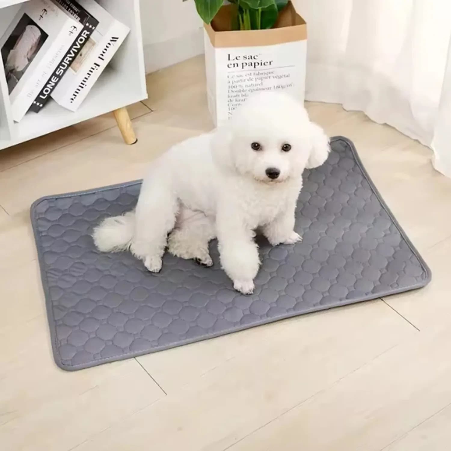 Tappetini Assorbenti Lavabili e Riutilizzabili per Cani, Antiscivolo, per Addestramento Cuccioli, Tappetino per Urina, Coprisedile Auto, Accessori per Animali Domestici
