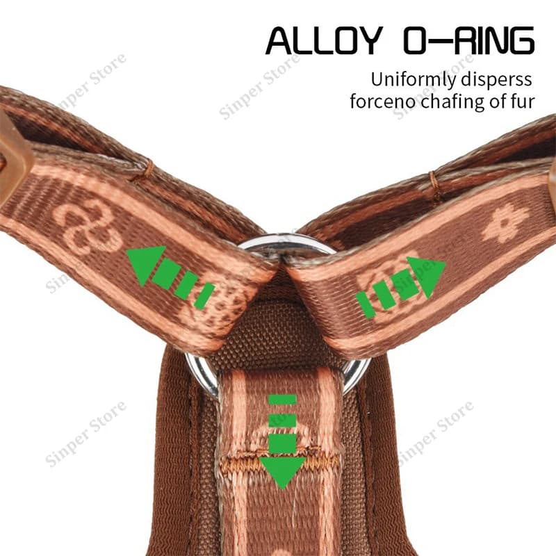 Pettorina Premium Explorer a Y per Cani con Imbottitura Morbida in Nylon Resistente, Fibbie in Metallo e Maniglia in Pelle