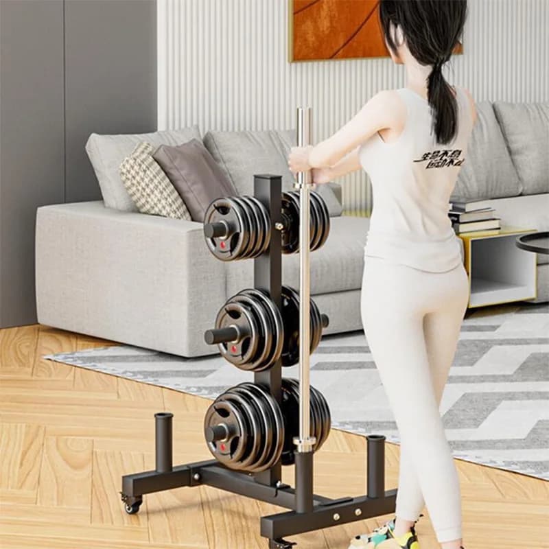 Dumbbell display stand 5CM/2.5CM Weight Plate Rack for Two-Inch Plates Vertical Bar Holder for Home Gym