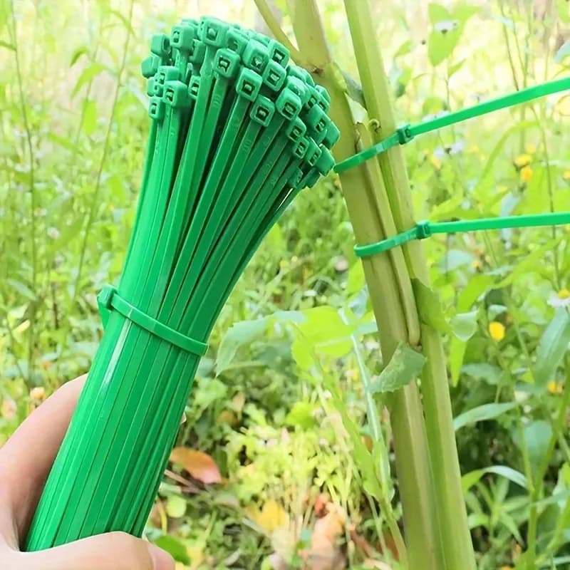 100 Pezzi Fascette per Piante da Giardino, Legature per Piante, Fissaggio Piante, Cura del Giardino, Utilizzo per Fissaggio Piante in Vaso e Scaffali