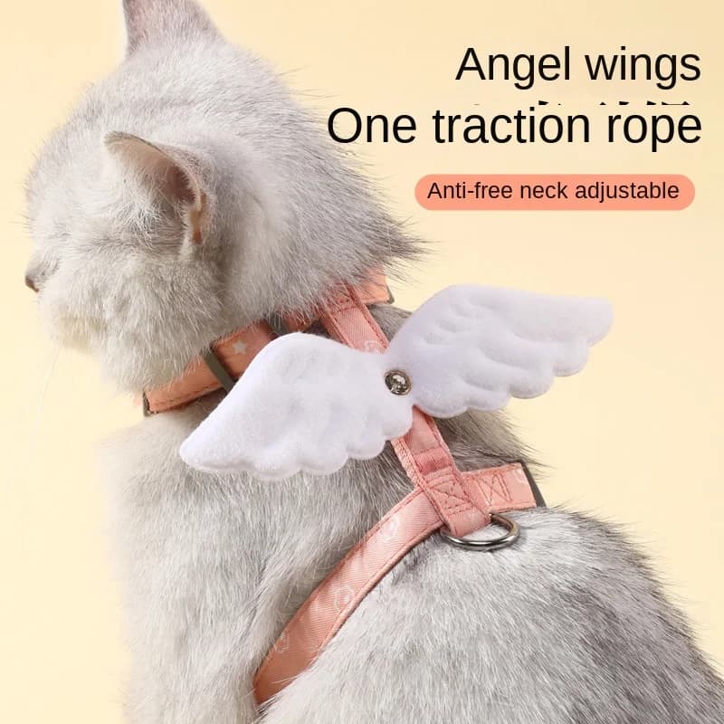 Pettorina per gatti Sweet Angel Wing Guinzaglio da 120 cm Pettorina e guinzaglio per cani da esterno Set Gilet resistente all'acqua Cintura pettorale Accessori per gattini