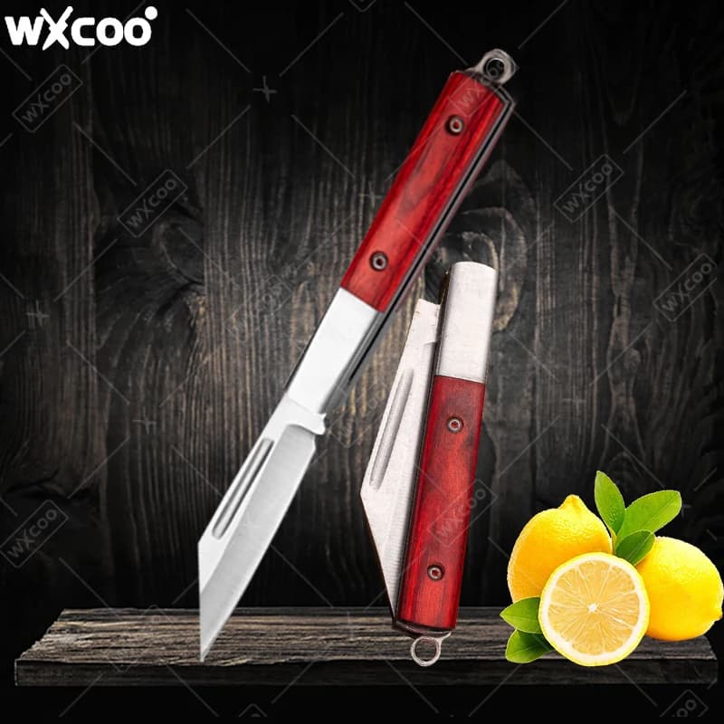 Coltello tascabile in acciaio inossidabile Manico in palissandro Coltello da frutta Coltello pieghevole da cucina multifunzionale per accessori da cucina