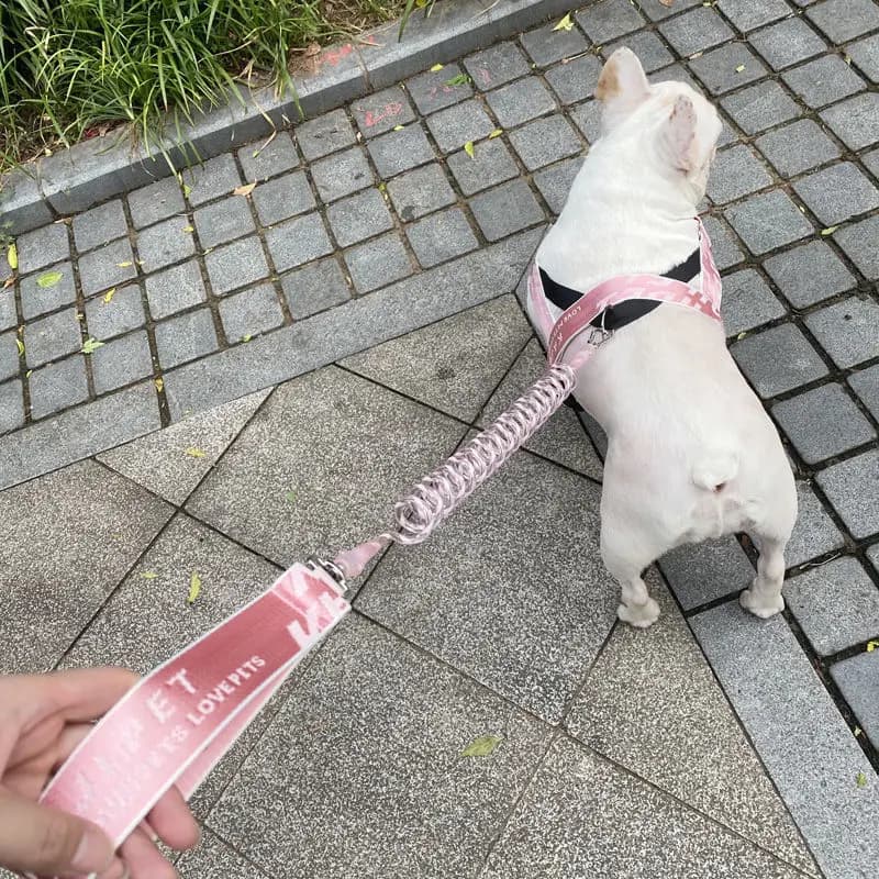 Guinzaglio telescopico automatico per cani, catena per cani da corsa, guinzaglio per artefatti da passeggio, imbracatura pettorale media e piccola