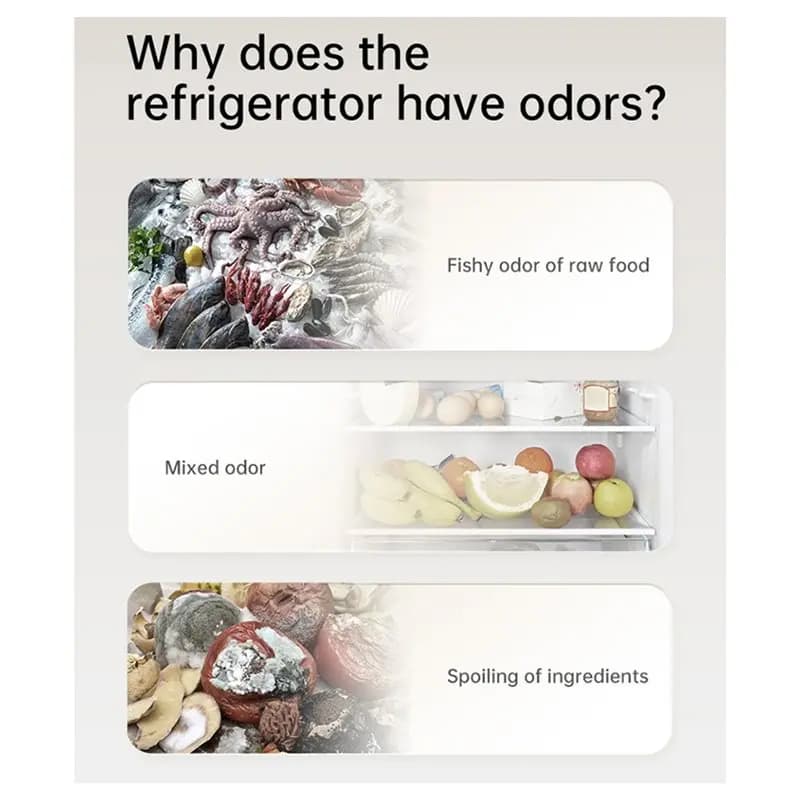 Deodorante per Frigorifero 2025 - Elimina Odori, Dura 5 Anni, Purificatore d'Aria al Carbone per Cucina