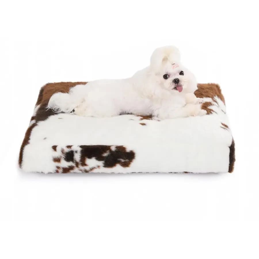 Cuccia Impermeabile, Letto Morbido per Cani e Gatti con Rivestimento Rimovibile e Lavabile, Tappetino in Finta Pelliccia, 23x18, Stampa Mucca