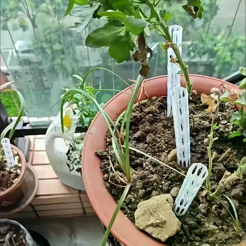 Tubi di Aerazione per Piante, Inserti per Vasi, Tubi di Ventilazione, Prevenzione della Rotazione delle Radici, Prevenzione dell'Annaffiatura Eccessiva per Tutti i Tipi di Vasi